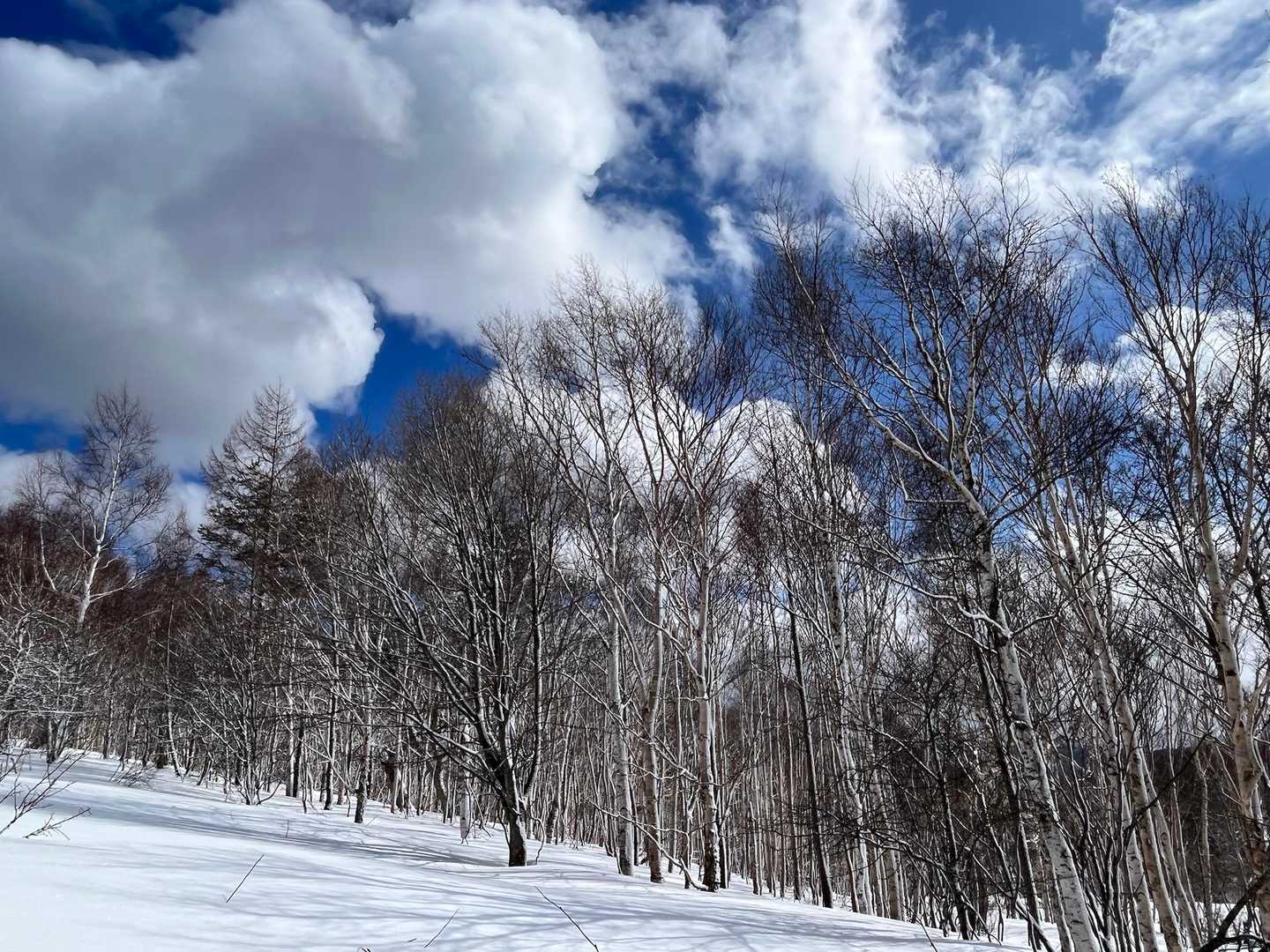 開けてるとこで風景眺めた