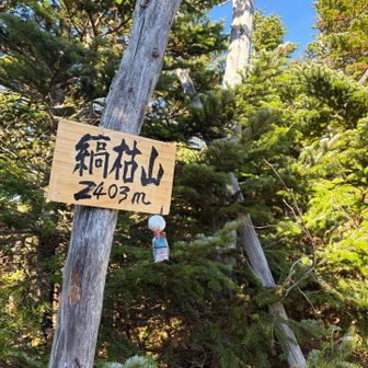 縞枯山山頂。