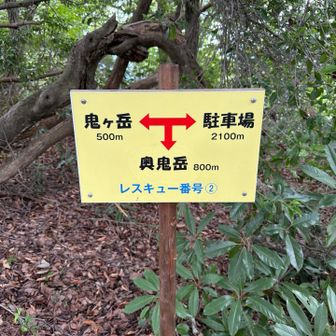 分岐🪧