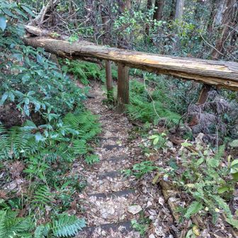 くぐって通過しました