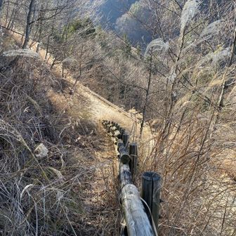 下りの急斜面、登山道が落ち葉で覆われて歩き辛いかったです
林道にでた所が御正体山取付き
ここから御正体山入口バス停まで1時間の林道歩きです