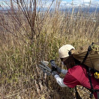 今日唯一のニューピーク✨