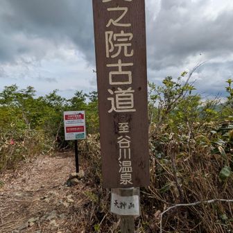 数年前    YAMAP開始して数ヶ月
家族で観光にきた   天神山
軌跡残らず   ピーク獲得出来なかったあの日

今日リベンジ回収🙌

高倉山目指します