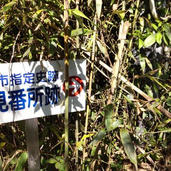 先にススム
なるほど🤔 これ以上は藪～