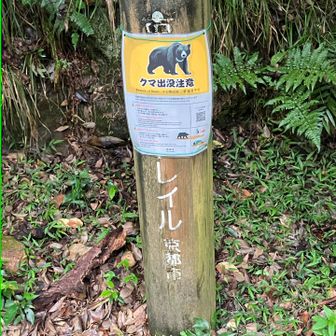 神護寺階段下には京都トレイル北山90番