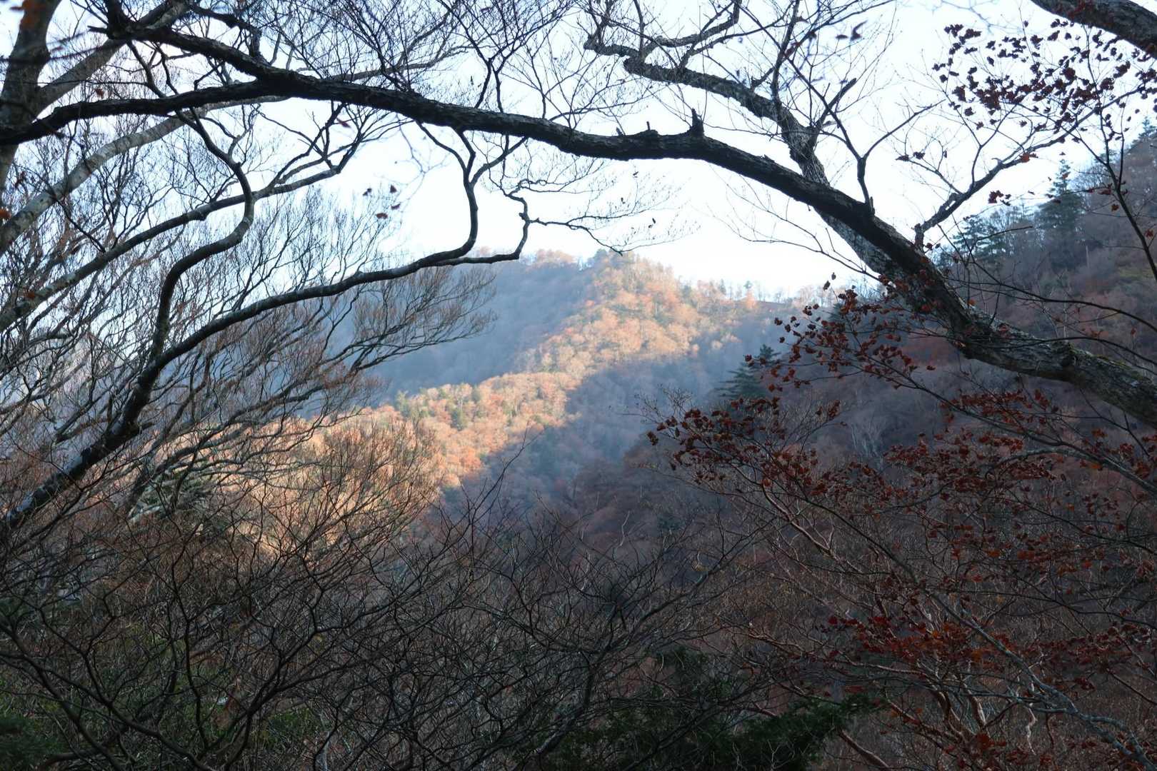弥山登山口-弁天ノ森-聖宝ノ宿跡 往復コースの写真
