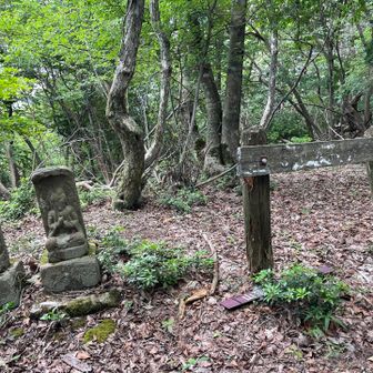 下山ルートは落ち葉の堆積でズルズル滑り要注意です。
かなり下ってから少し登り返すとピーク在り。朽ちた標識には「304mの頭」と書いてあるのかな？
ここが山頂登録されていないのが不思議です。