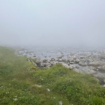 北沼のほとりで小休止
ここに至るまで雨と風、そして寒さにやられて、正直トムラウシから先、三川台方面に進む意欲を無くしていた
濡れながらの笹漕ぎも嫌だし、頭の中にも低体温症という言葉がチラつく

トムラウシ山頂に登らず、巻道から南沼野営地に向かう事も可能だが、ここまで来たのだから、意地でもトムラウシ山頂は踏んでやろうと心に決める