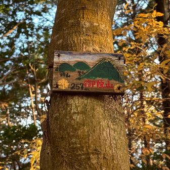 御陵山⛰️ 257m