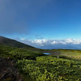 こちらは道も歩きやすく負担も少ないので、天気が良ければこっちまで来た方が良いと思った