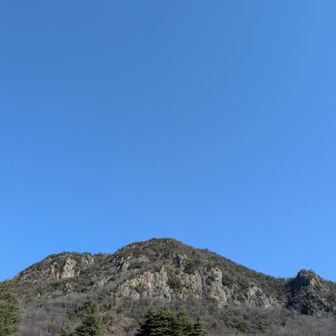 市道を歩きながら素敵な鷹巣山を見る🤭