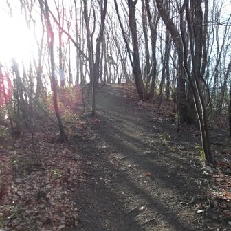 ビクトリーロード♪