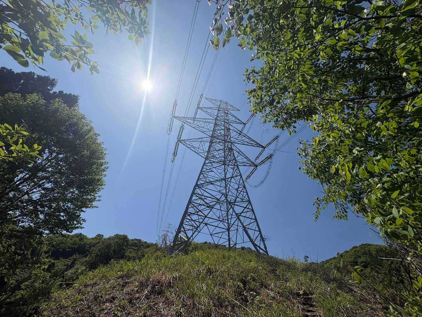 保田経ヶ岳 往復コースの写真
