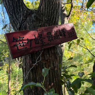 グレーピークの笹ヶ峰🩶⛰️

直近1ヶ月の登山回数0回だけあって、中々手強かったよ😅トゲトゲ激急登でした🦔
尾根に出てからはまぁ、少し普通。
