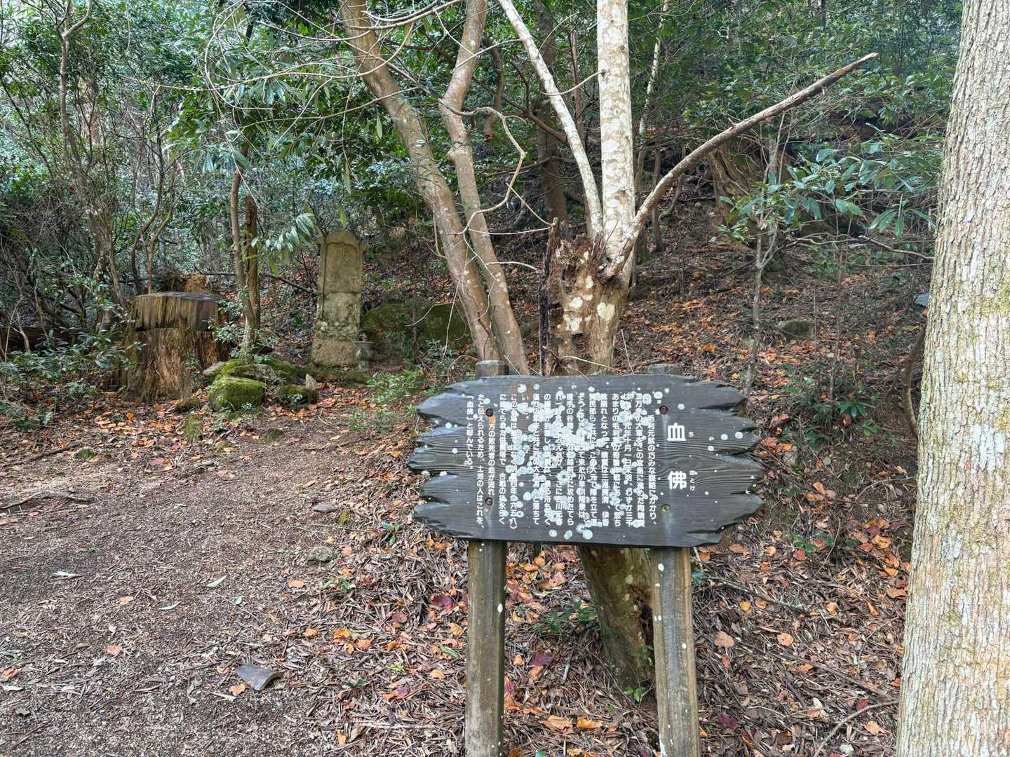 駒ヶ林-弥山 往復コースの写真