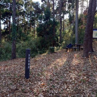 すぐ下に休憩所がありましたので、最後の休憩を取りました。