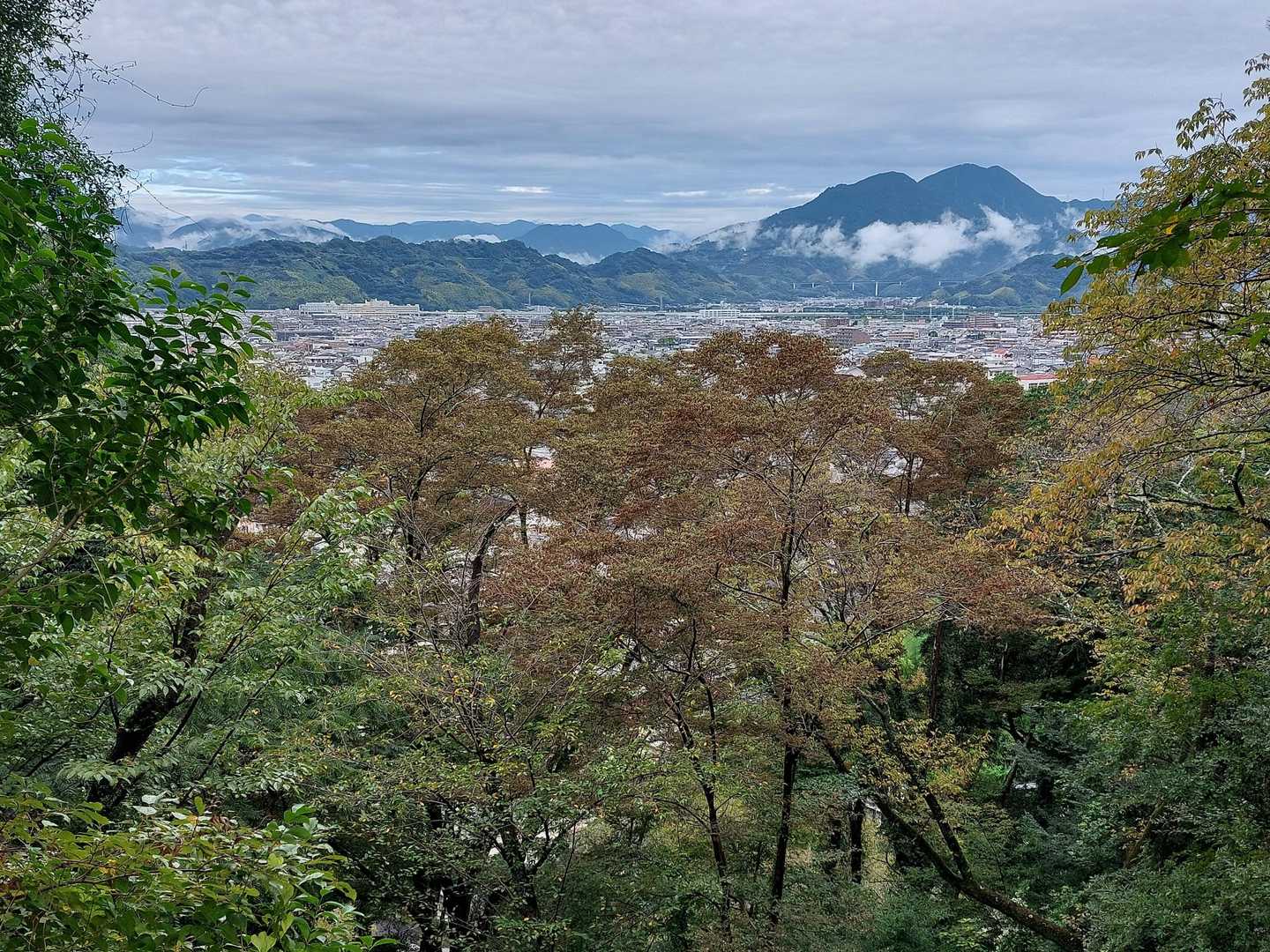 やいやい！
賤機山の稜線と竜爪山が😁
歩いたルートを眺められるのは嬉しい🎵