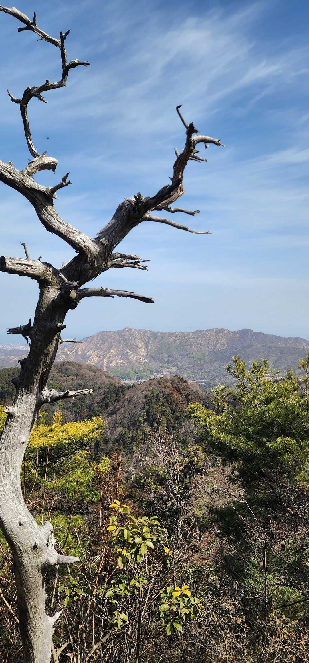 竜門山山頂間近の眺望ポイント、世田山と笠松山が見渡せる