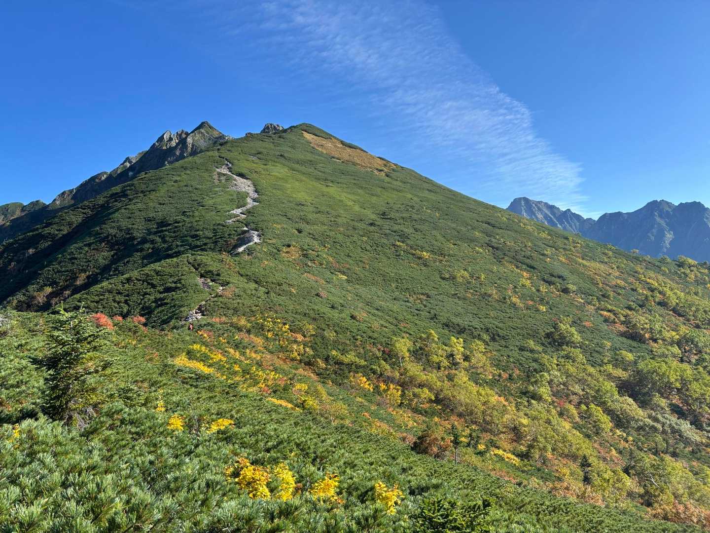 紅葉始まってます✨