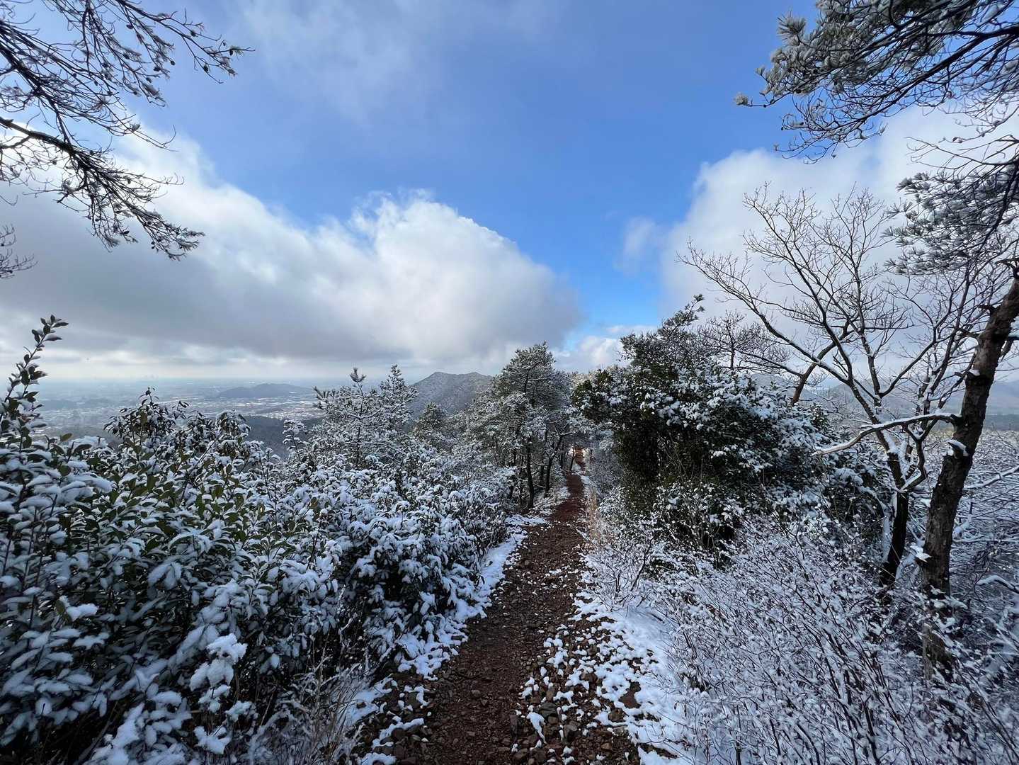 振り返って青空！
ここまで一直線ルート
