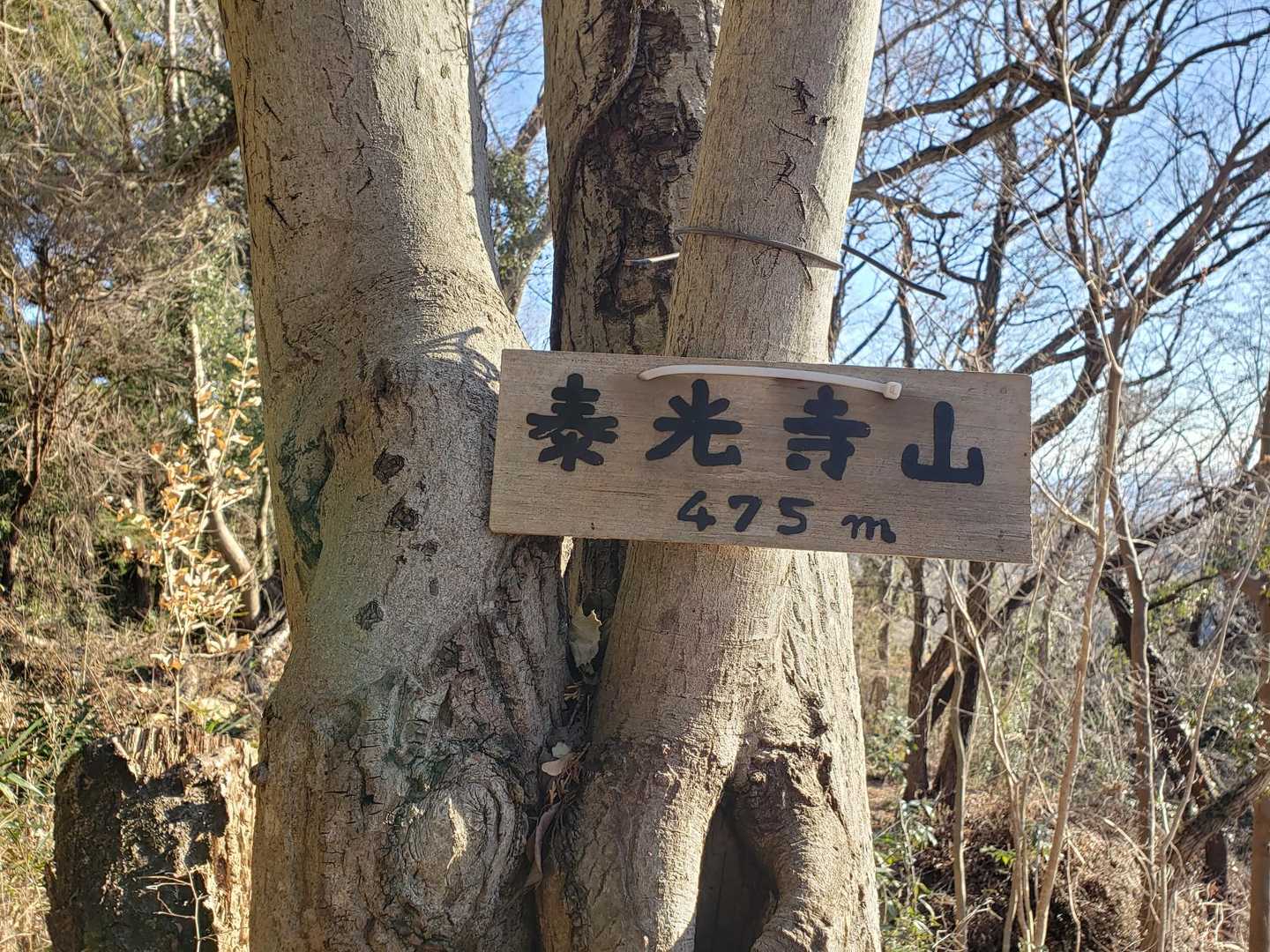 良く見つけた、
隠し目玉を持ち超人