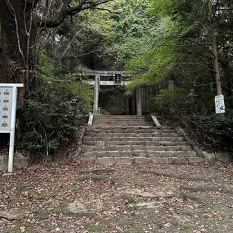 日の出時刻を過ぎて薄暗い中でのスタート。