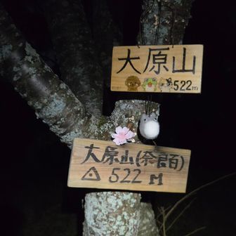 とりあえず踏んどきました