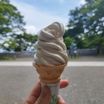 お豆腐ソフト🍦