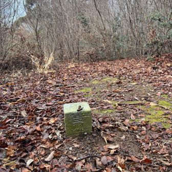 眺望ありません