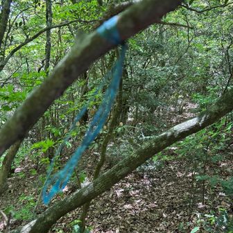 高山への目印