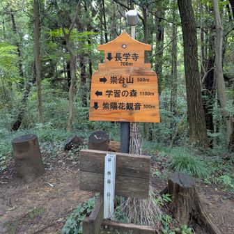 下山は長岳寺に向かう👈