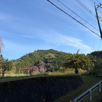 車道出た。住宅もある道を上がっていく。
