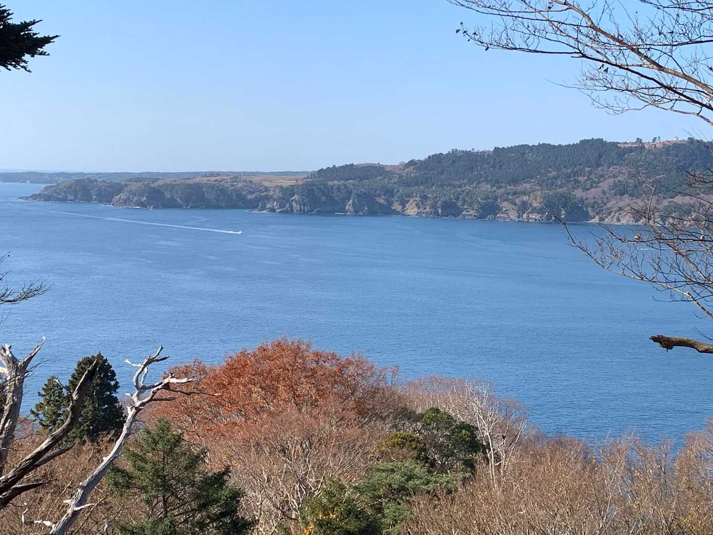 鹿山-金華山 周回コースの写真