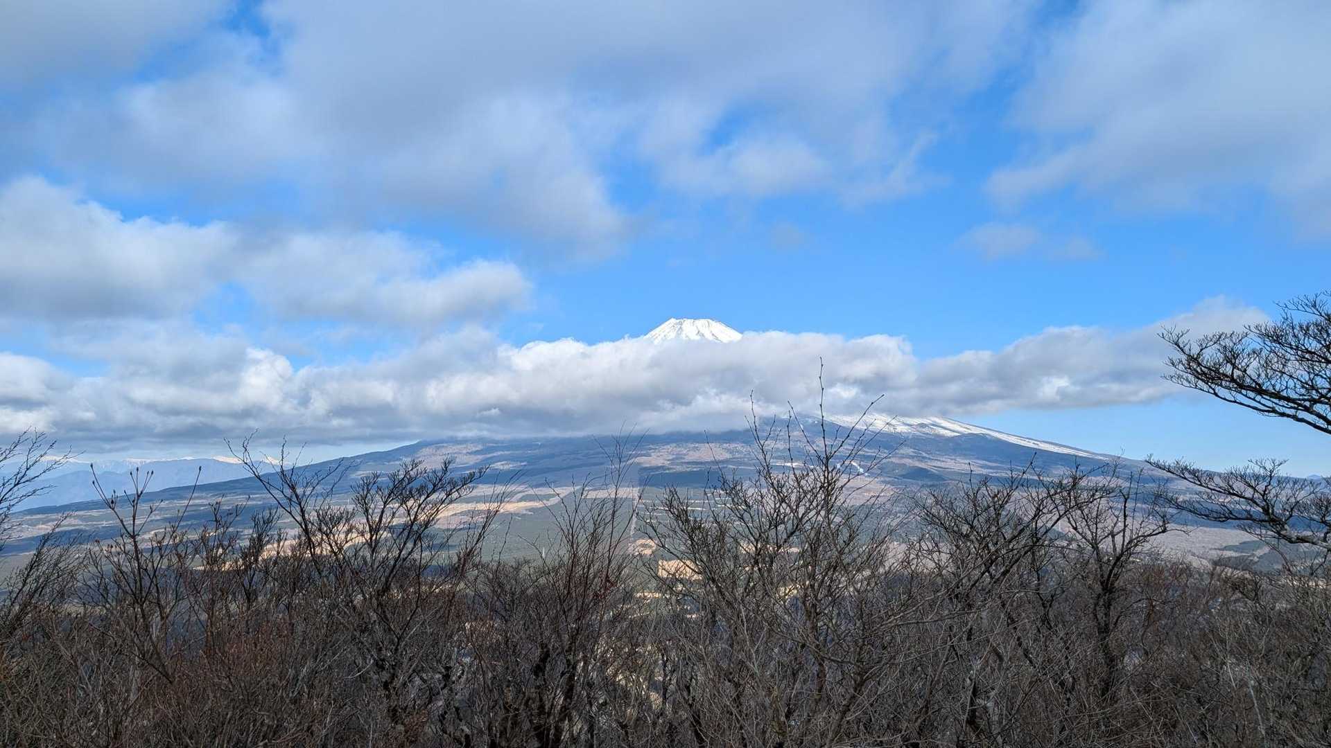 十里木高原バス停-越前岳-呼子岳 往復コースの写真