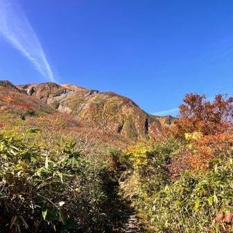 そろそろ🍁のトンネルを抜け、森林限界に突入して行きます😆