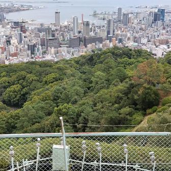 錨山から