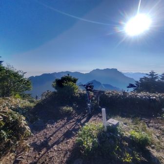 ニノ森から壁のような石鎚山
晴れたけど思いっきり逆光