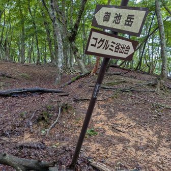 コグルミ谷出合以降、涼しい風が心地よい