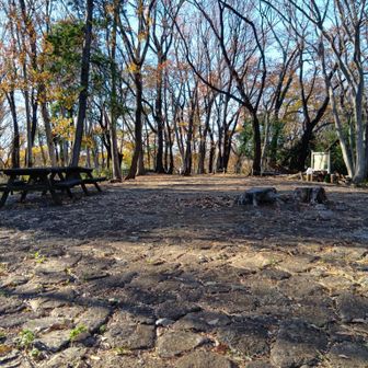 日向山、山頂標見当たらなかった