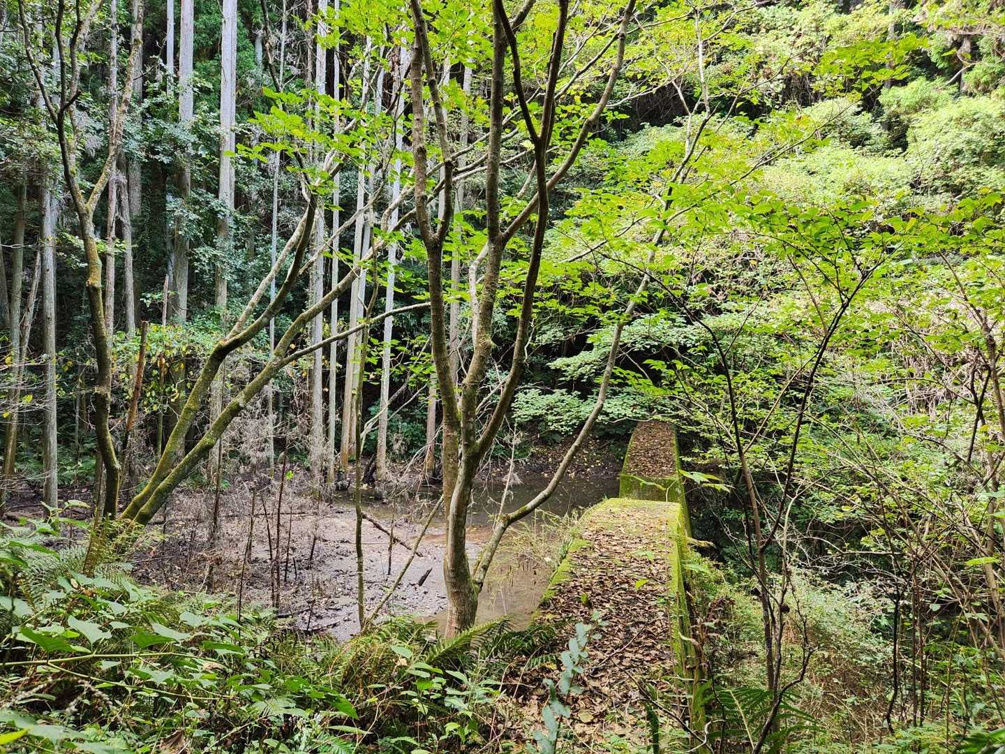 砂防堰堤