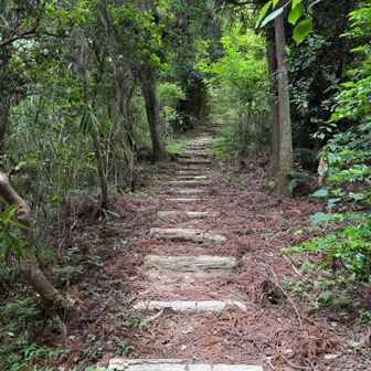 最初の目的地の銀峰手前🥾
キツい木段が現れた😅