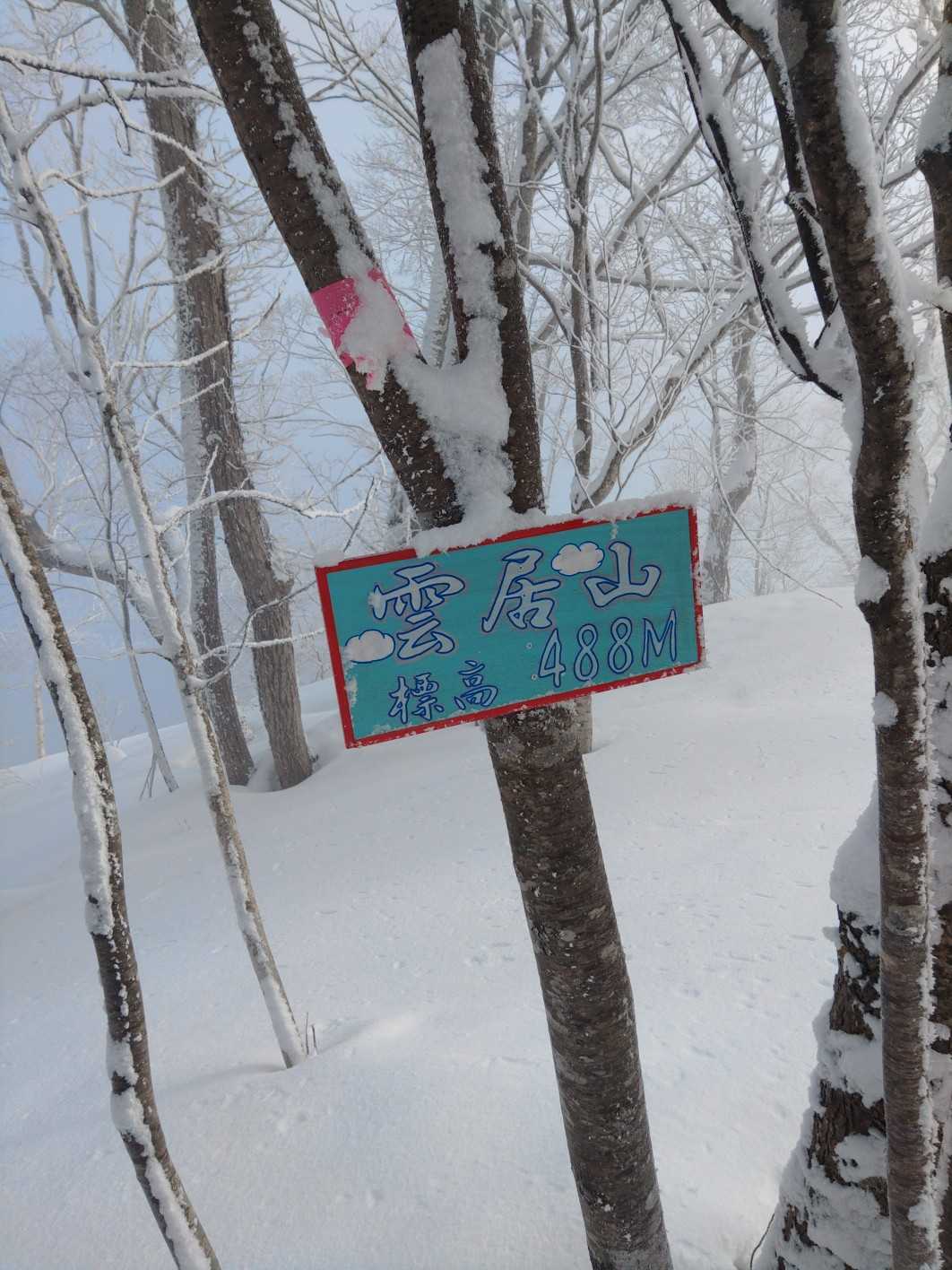 雲居山の写真