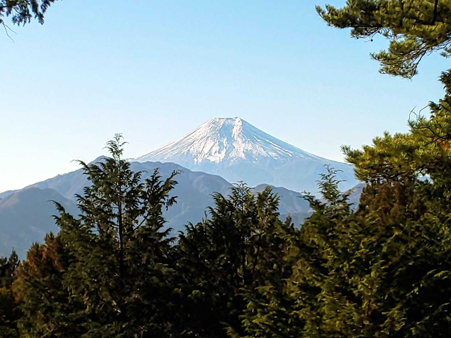 南側も木々の間から富士🗻方面がくっきり見えました😲