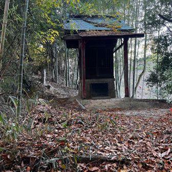 小さな尾根筋に入って鳥居を抜けると祠。さらに先に進めそう。最後のピークを目指す。