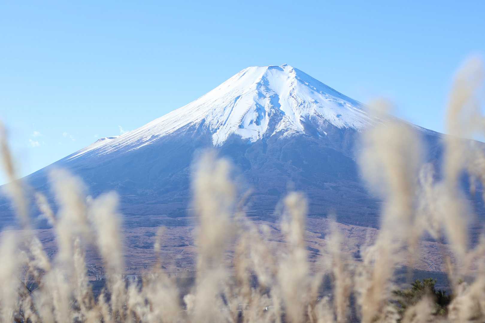 朝早くから夜遅くまで仕事に追われる毎日
(いつもそんなこと言ってないか？🙄)

週末に山を歩くことは
日々のリセット、リフレッシュです。。

エイヤッ！と気合を入れないと動けないけれど
( ˆ꒳​ˆ; )