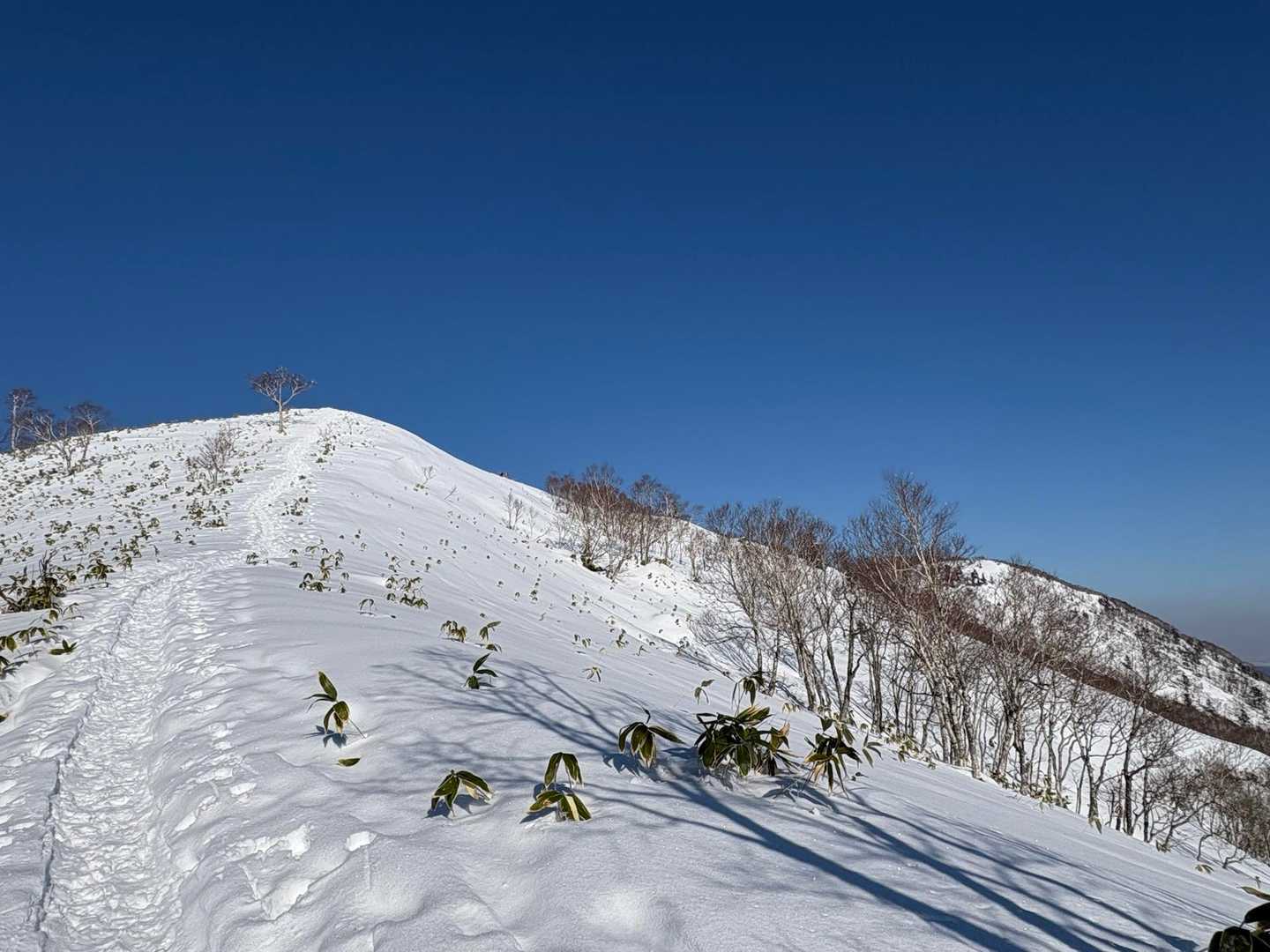 偽ピーク直下
ここまで来ると足早になっちゃいます😅