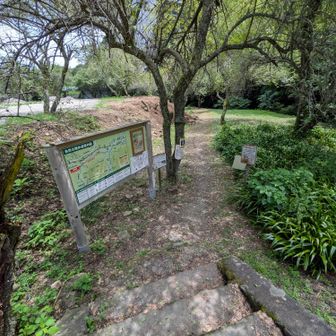 蛇滝口から出て、暑い中で車道に出なくて済むのはありがたいです。。
自然公園歩道を歩きます。
