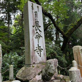🐢長命🐢

人がちらほらいました
健康長命だと嬉しいんだけれども🤸