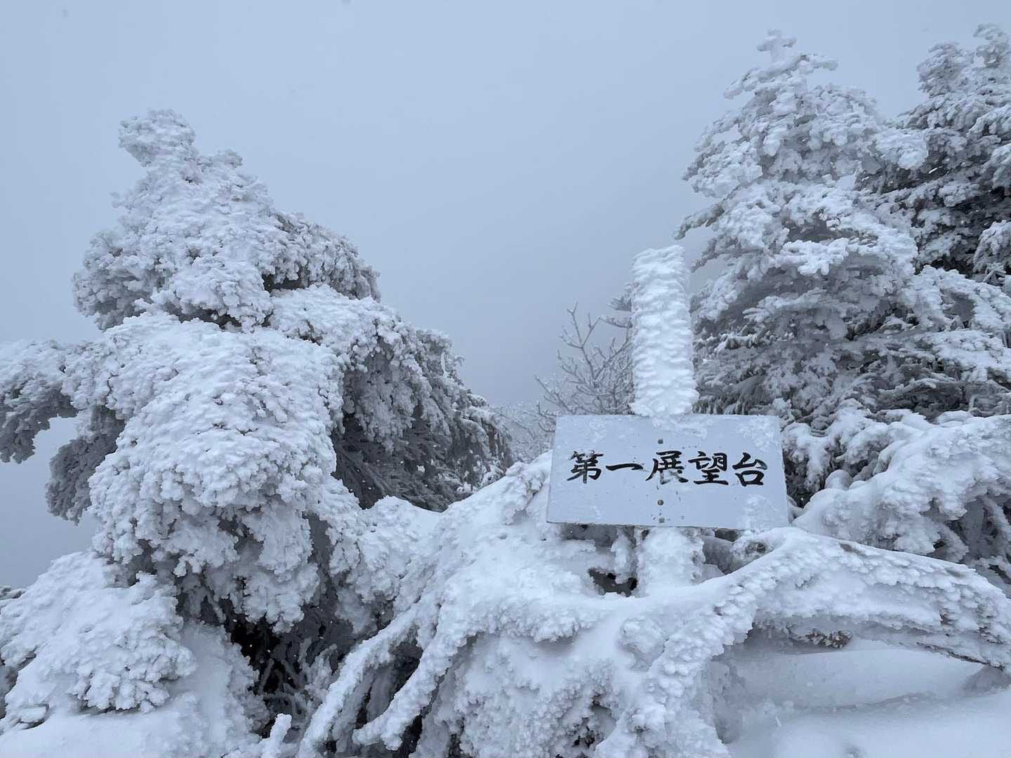 虚無の展望🤣