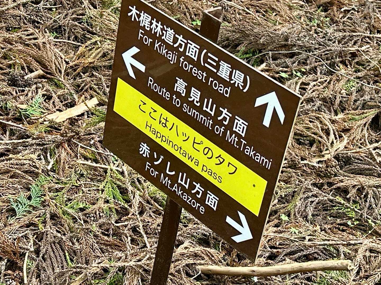 ハッピのタワから林道に戻る